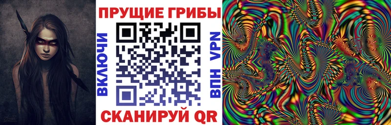 Купить где  Воронеж  Галлюциногенные грибы прущие грибы 